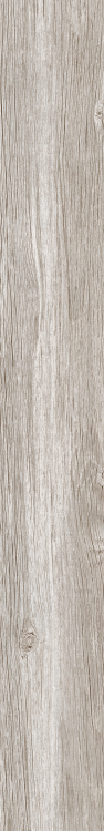 DaVinci 5 6 x 48