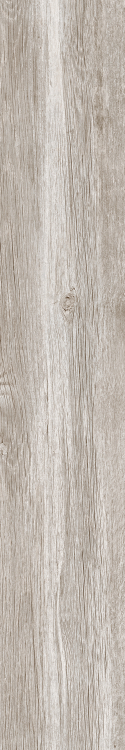 DaVinci 5 8 x 48