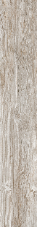 DaVinci 5 8 x 48