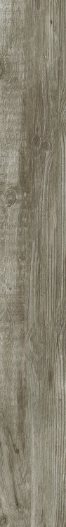 DaVinci 9 6 x 48