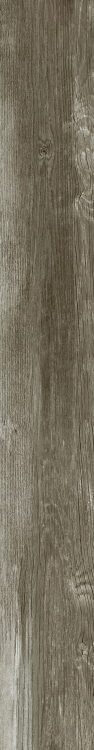 DaVinci 9 6 x 48