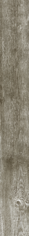 DaVinci 9 6 x 48