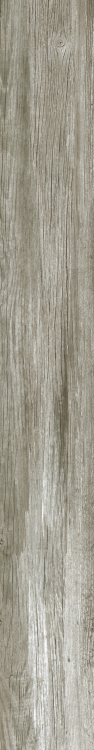 DaVinci 9 6 x 48