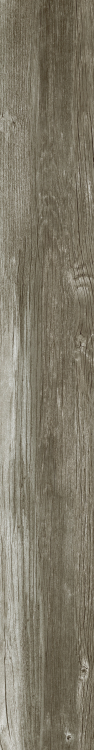 DaVinci 9 6 x 48