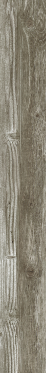 DaVinci 9 6 x 48