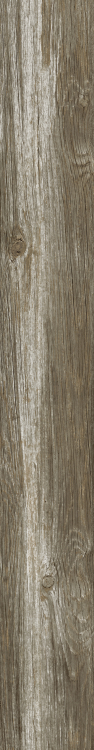 DaVinci 9 6 x 48
