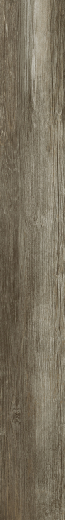 DaVinci 9 6 x 48