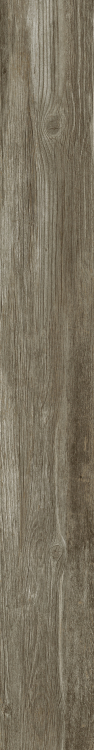 DaVinci 9 6 x 48