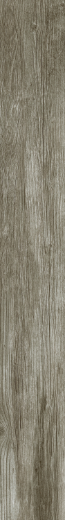DaVinci 9 6 x 48