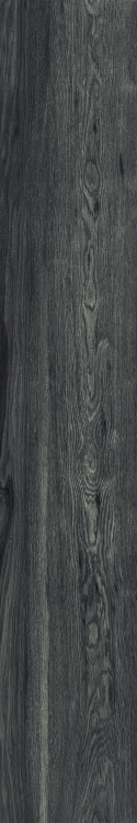 Deck Night 10 x 60