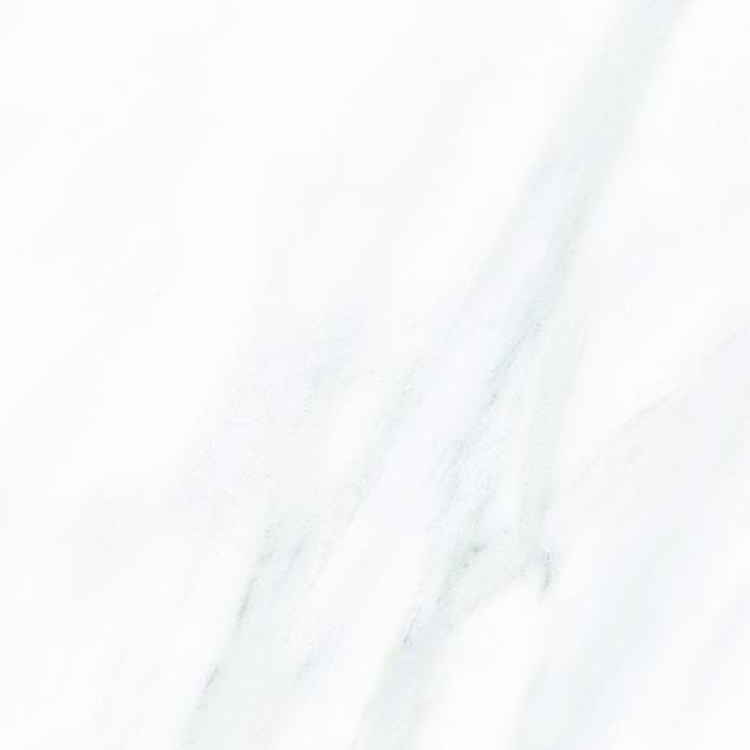 Carrara Natural Floor 12 x 12