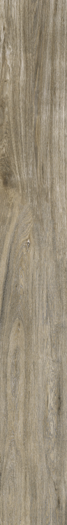 Selection Oak Amber 10.5 x 71