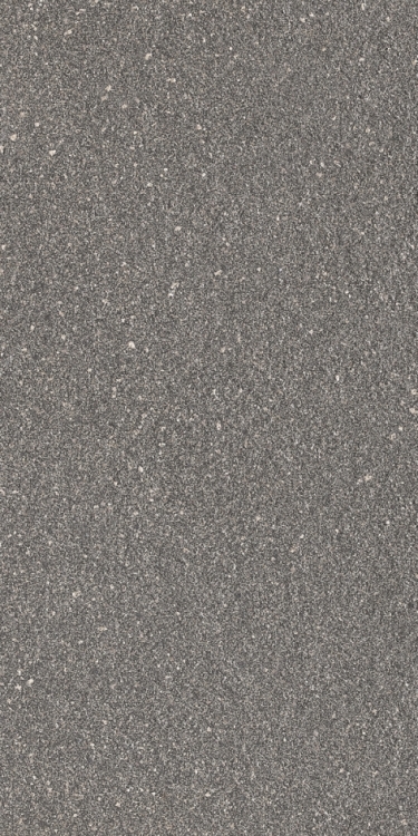 Rock 1007 Dark Ash 12 x 24 Rock 1007 Dark Ash 12 x 24